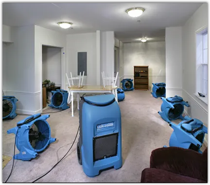 Water Damage Restoration services in Ferndale, WA
