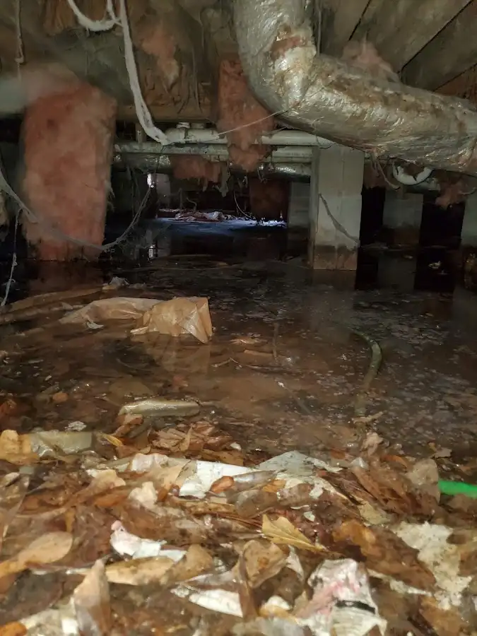 Crawl space flood assessment for Leak Detection & Repair in Ferndale